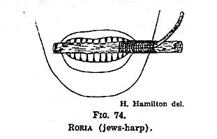 Picture: How to Play a Rooria